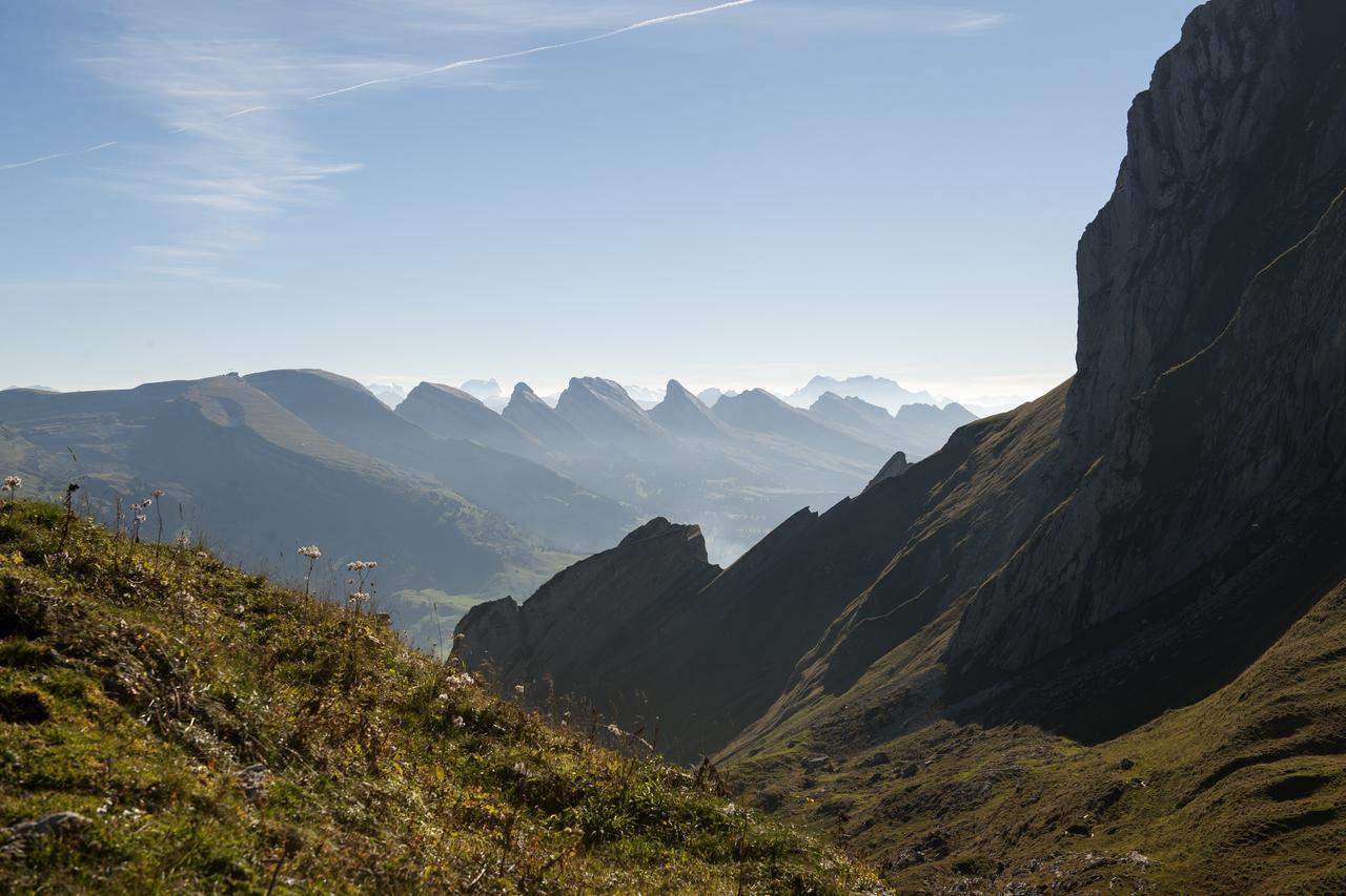 Stump's Alpenrose Wildhaus